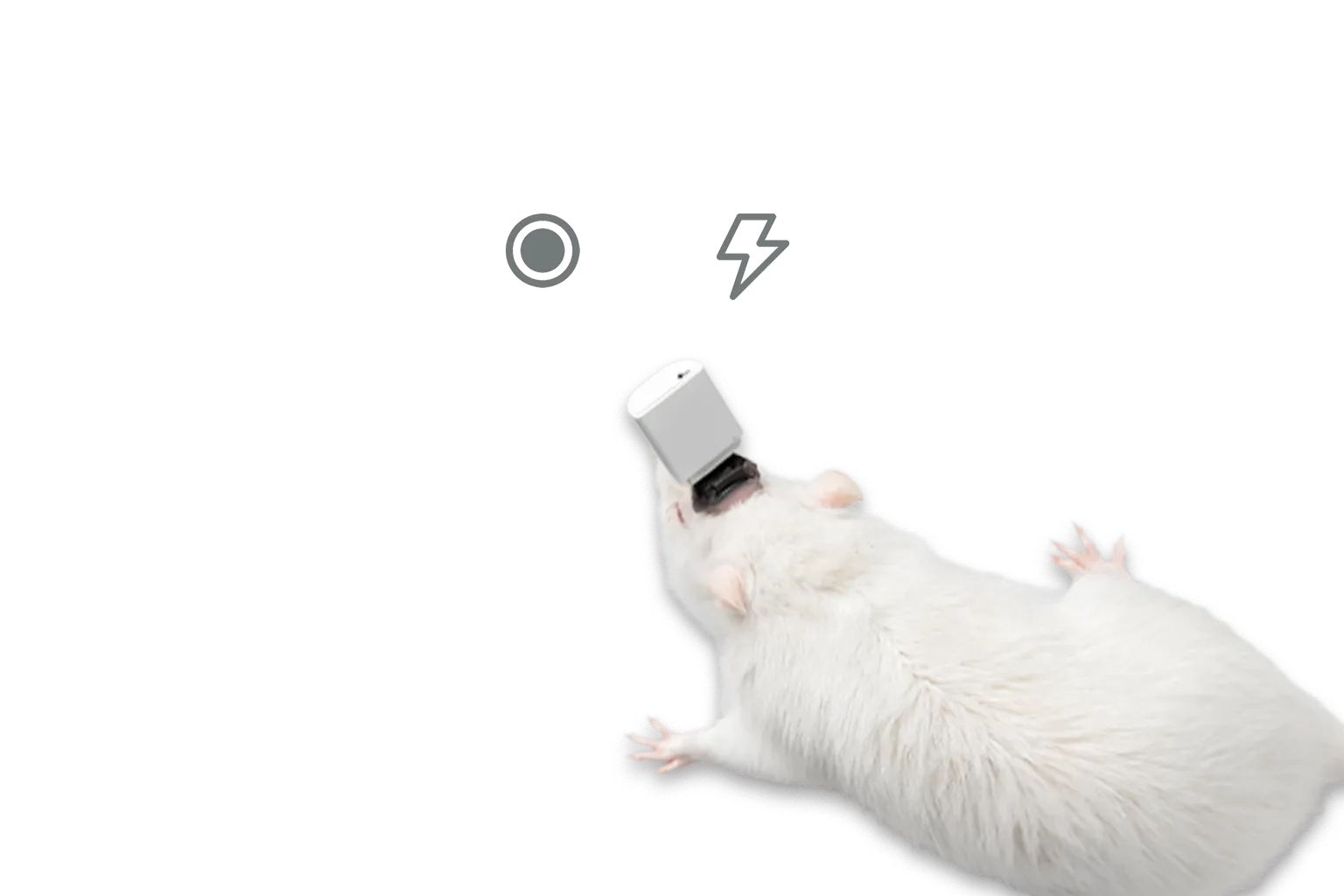 NeuLive - Using a non-invasive method to stimulate brain activity and ...